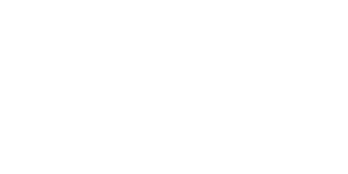 VISUALYS Partner in Frankreich: RG2i